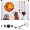 Pachet Tabla interactiva 102 VISUAL Genius, tehnologie tactila IR, 20 puncte de atingere, suport perete Pachet Tabla interactiva 102 VISUAL Genius, tehnologie tactila IR, 20 puncte de atingere, suport perete